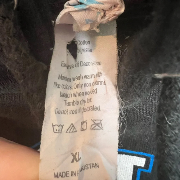 Carolina Panthers Men’s XL Hooded Sweatshirt Hoodie, GUC, see photos for stain - Picture 4 of 4